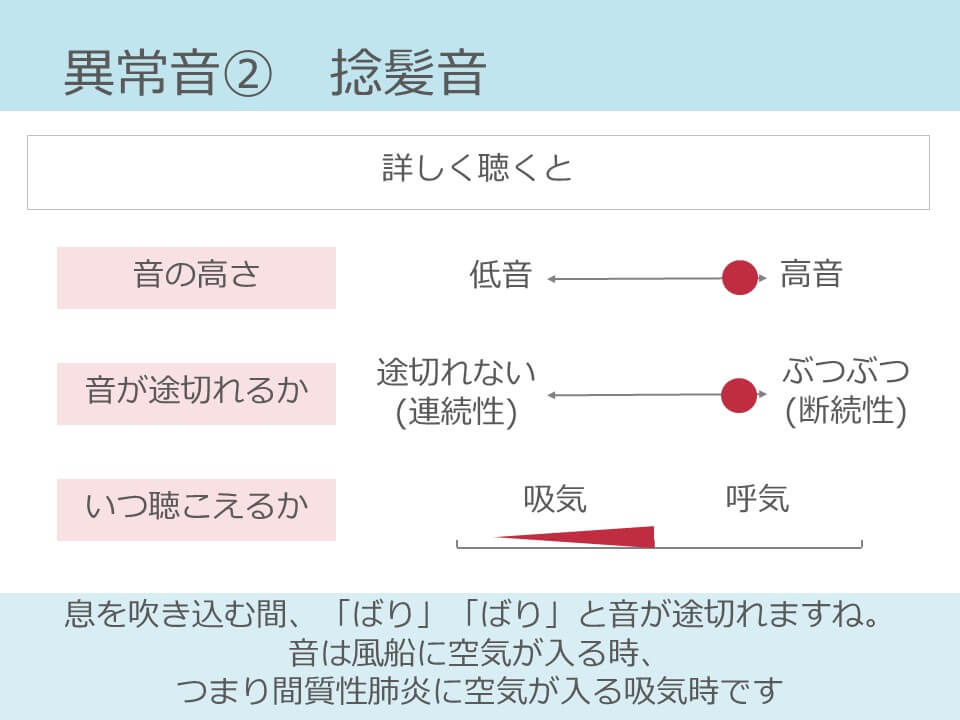 水泡音と捻髪音はどんな音 原因疾患は 呼吸音は4種類で十分 コキュトレ