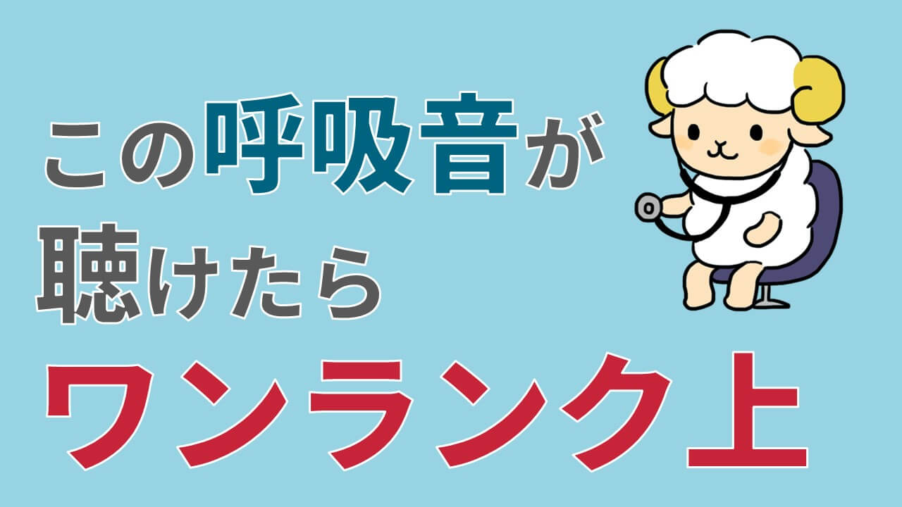 ロンカイはどんな音 スクォーク 胸膜摩擦音は 原因疾患は 聴診がワンランク上になれる コキュトレ