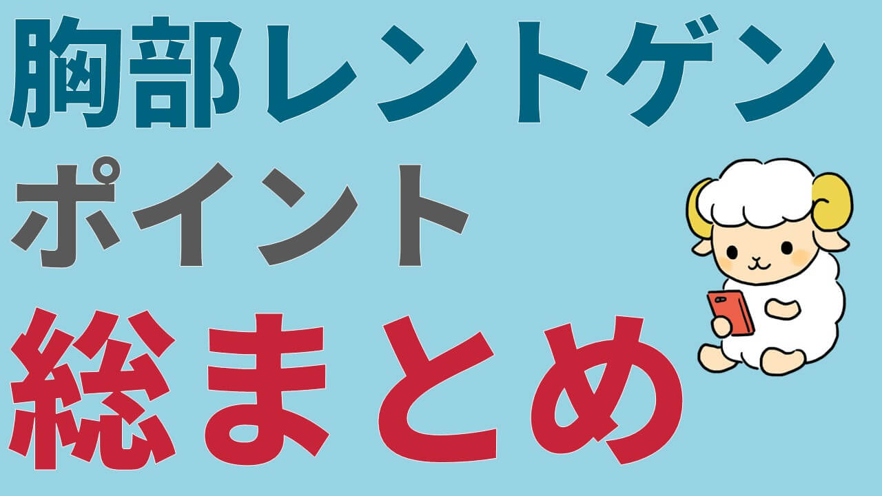 胸部の診察のポイント総まとめ 5つの記事で解説します コキュトレ