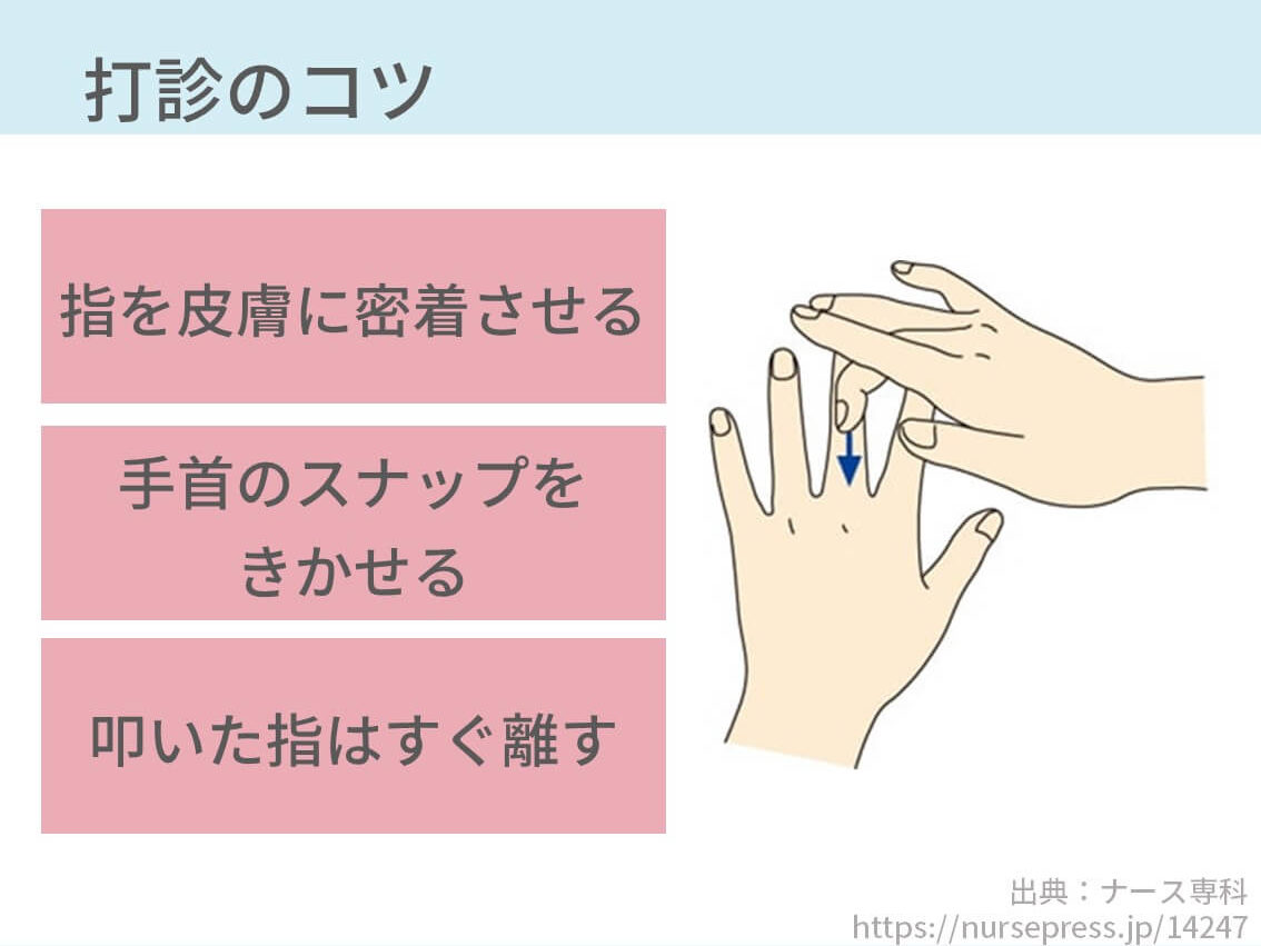 打診で鼓音 清音 濁音はどんな音 ペットボトルに例えました コキュトレ