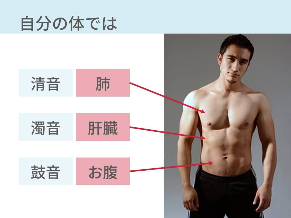 打診で鼓音 清音 濁音はどんな音 ペットボトルに例えました コキュトレ