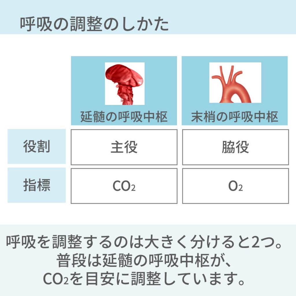 CO2ナルコーシス