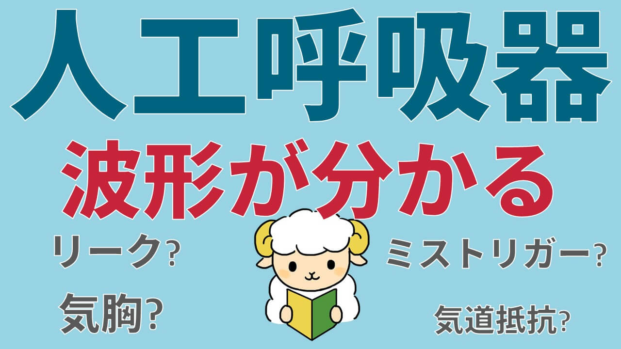 人工呼吸器のファイティングでの波形を解説 直し方も伝授します コキュトレ