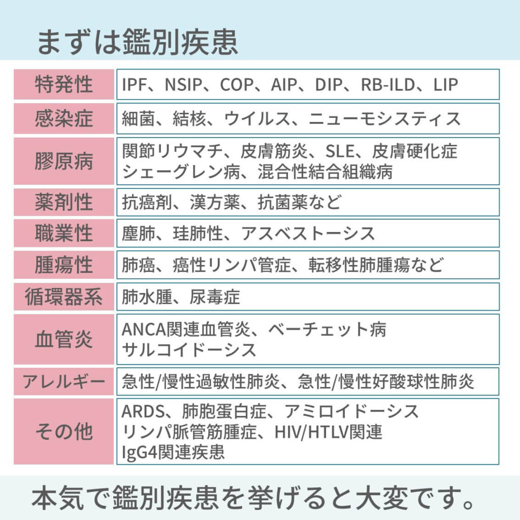 結合組織スライドクイズ