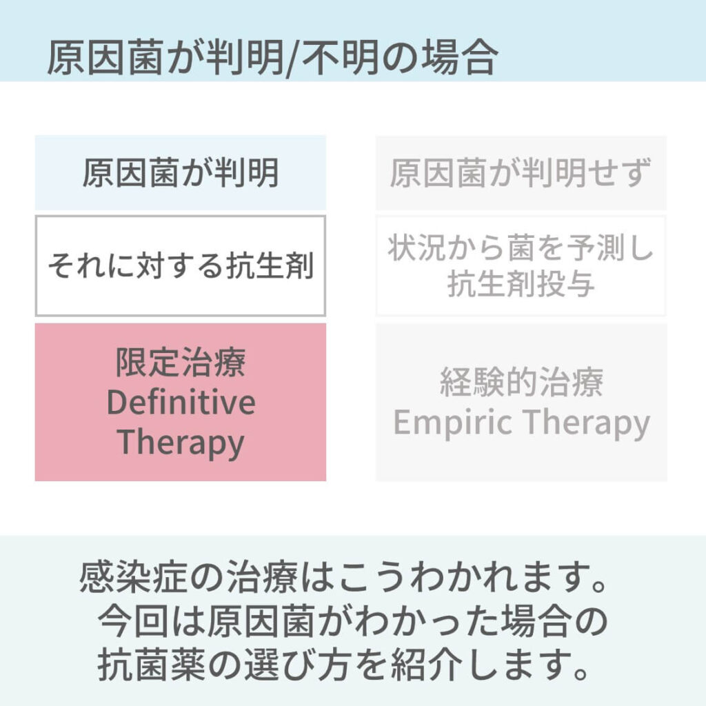 肺炎のポイント総まとめ スライドで解説 コキュトレ