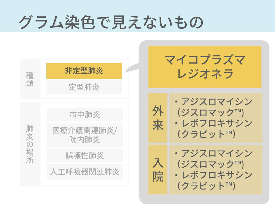 肺炎の抗菌薬は何を選ぶ 治療原則 できるだけ原因菌をみつける コキュトレ