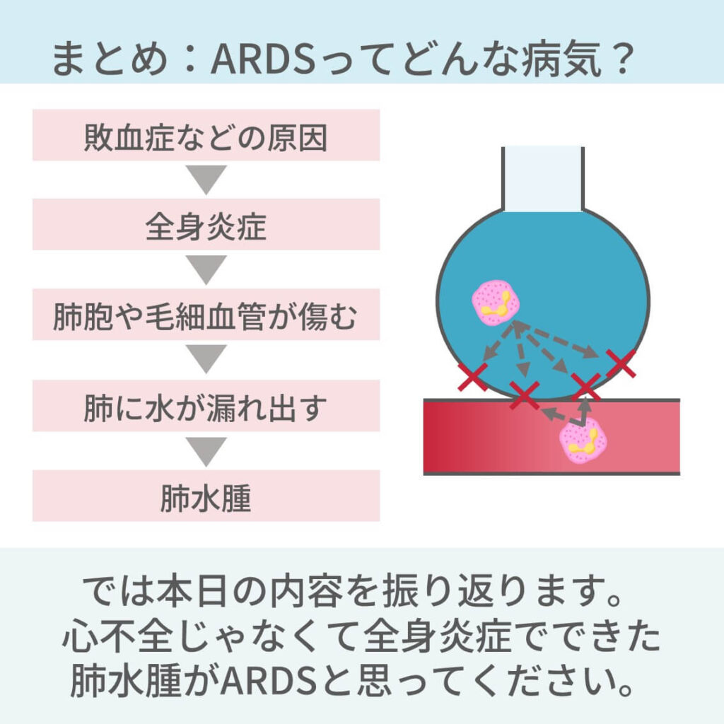 哺乳類の一般的な特徴トップ 7 (説明あり)